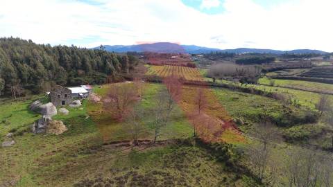 Quinta  Venda em Lagos da Beira e Lajeosa,Oliveira do Hospital