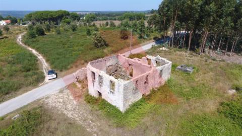 Quinta  Venda em Midões,Tábua