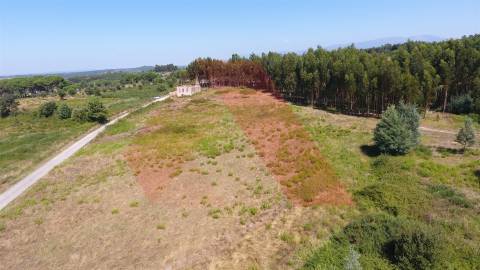 Quinta  Venda em Midões,Tábua