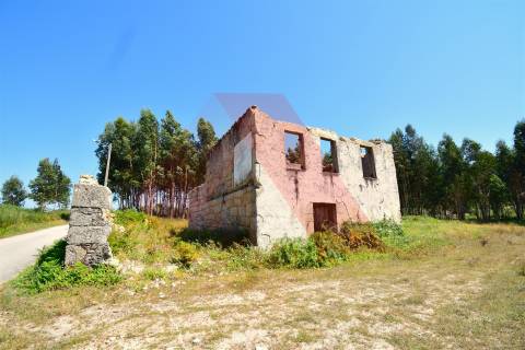 Quinta  Venda em Midões,Tábua