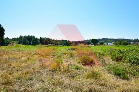 Quinta  Venda em Midões,Tábua