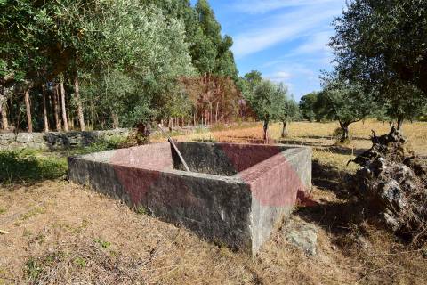 Terreno Rústico  Venda em Ázere e Covelo,Tábua