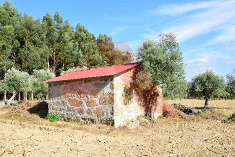 Terreno Rústico  Venda em Ázere e Covelo,Tábua