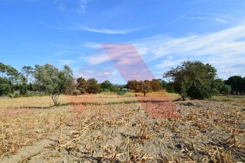 Terreno Rústico  Venda em Ázere e Covelo,Tábua