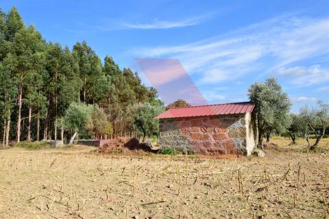 Terreno Rústico  Venda em Ázere e Covelo,Tábua
