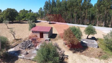 Terreno Rústico  Venda em Ázere e Covelo,Tábua