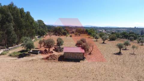 Terreno Rústico  Venda em Ázere e Covelo,Tábua