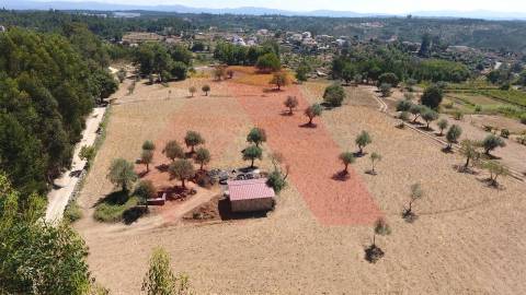 Terreno Rústico  Venda em Ázere e Covelo,Tábua