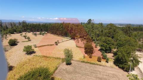 Terreno Rústico  Venda em Ázere e Covelo,Tábua