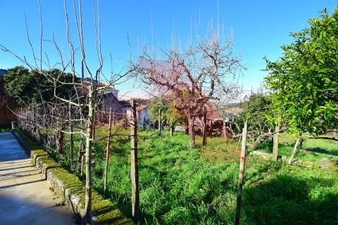 Quinta T2+1 Venda em Covas e Vila Nova de Oliveirinha,Tábua