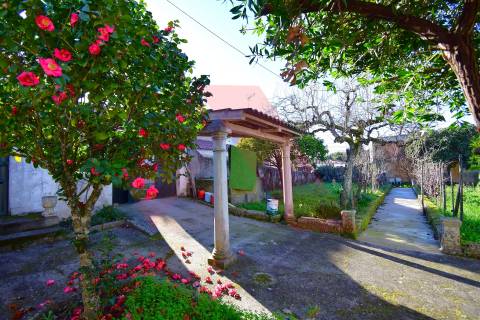 Quinta T2+1 Venda em Covas e Vila Nova de Oliveirinha,Tábua