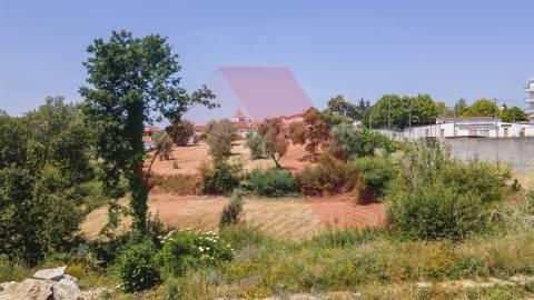 Terreno Para Construção  Venda em Tábua,Tábua