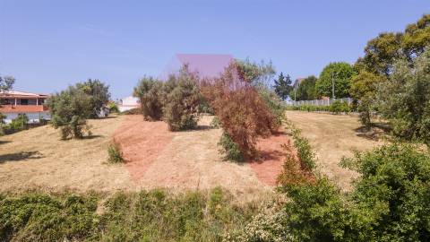 Terreno Para Construção  Venda em Tábua,Tábua