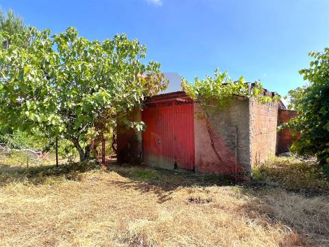 Terreno  Venda em Candosa,Tábua