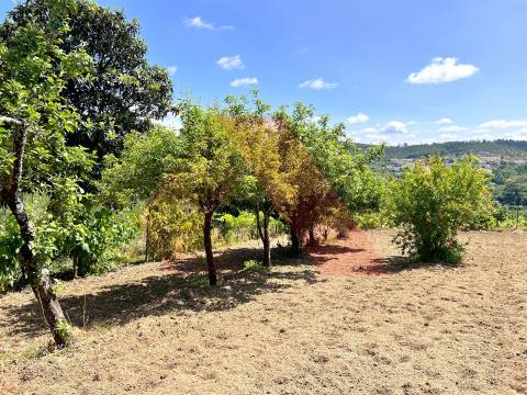 Terreno  Venda em Candosa,Tábua