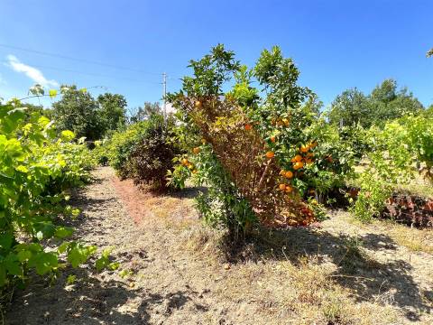 Terreno  Venda em Candosa,Tábua