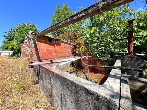 Terreno  Venda em Candosa,Tábua