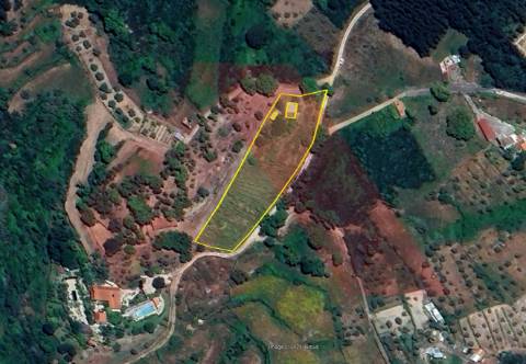 Terreno  Venda em Candosa,Tábua