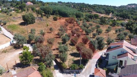 Terreno Misto  Venda em Covas e Vila Nova de Oliveirinha,Tábua