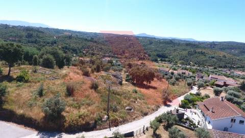 Terreno Misto  Venda em Covas e Vila Nova de Oliveirinha,Tábua