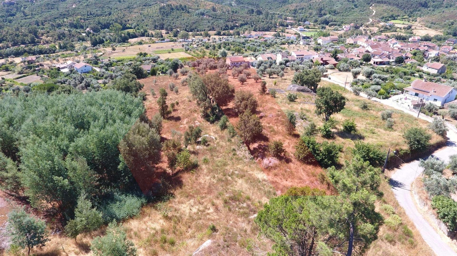 Terreno Misto  Venda em Covas e Vila Nova de Oliveirinha,Tábua