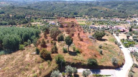 Terreno Misto  Venda em Covas e Vila Nova de Oliveirinha,Tábua