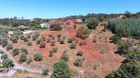 Terreno Misto  Venda em Covas e Vila Nova de Oliveirinha,Tábua
