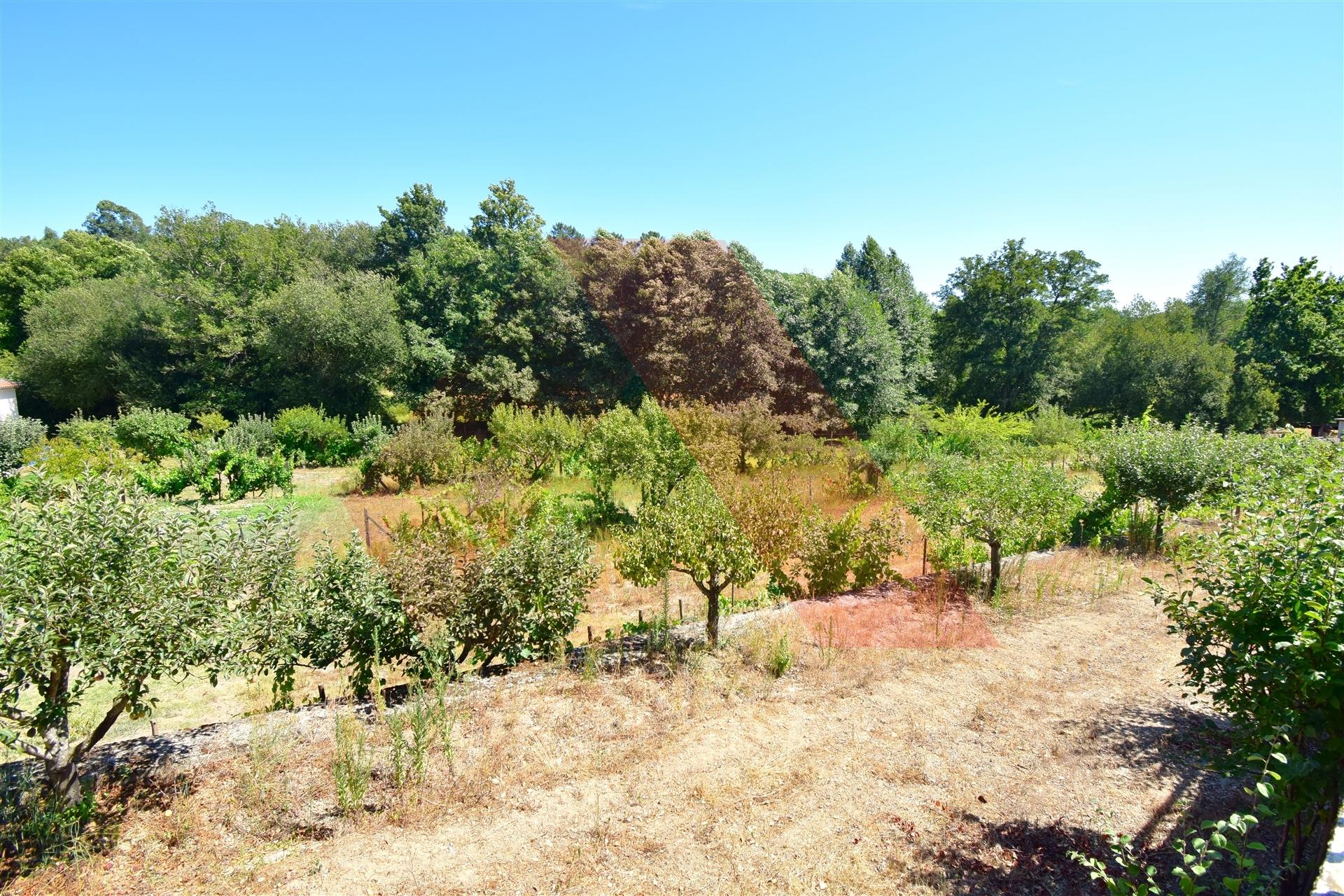 Lote de Terreno  Venda em Tábua,Tábua