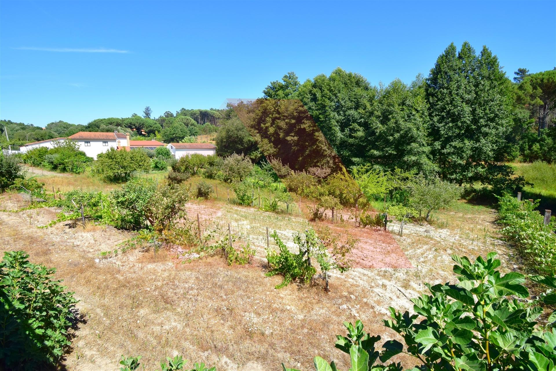 Lote de Terreno  Venda em Tábua,Tábua