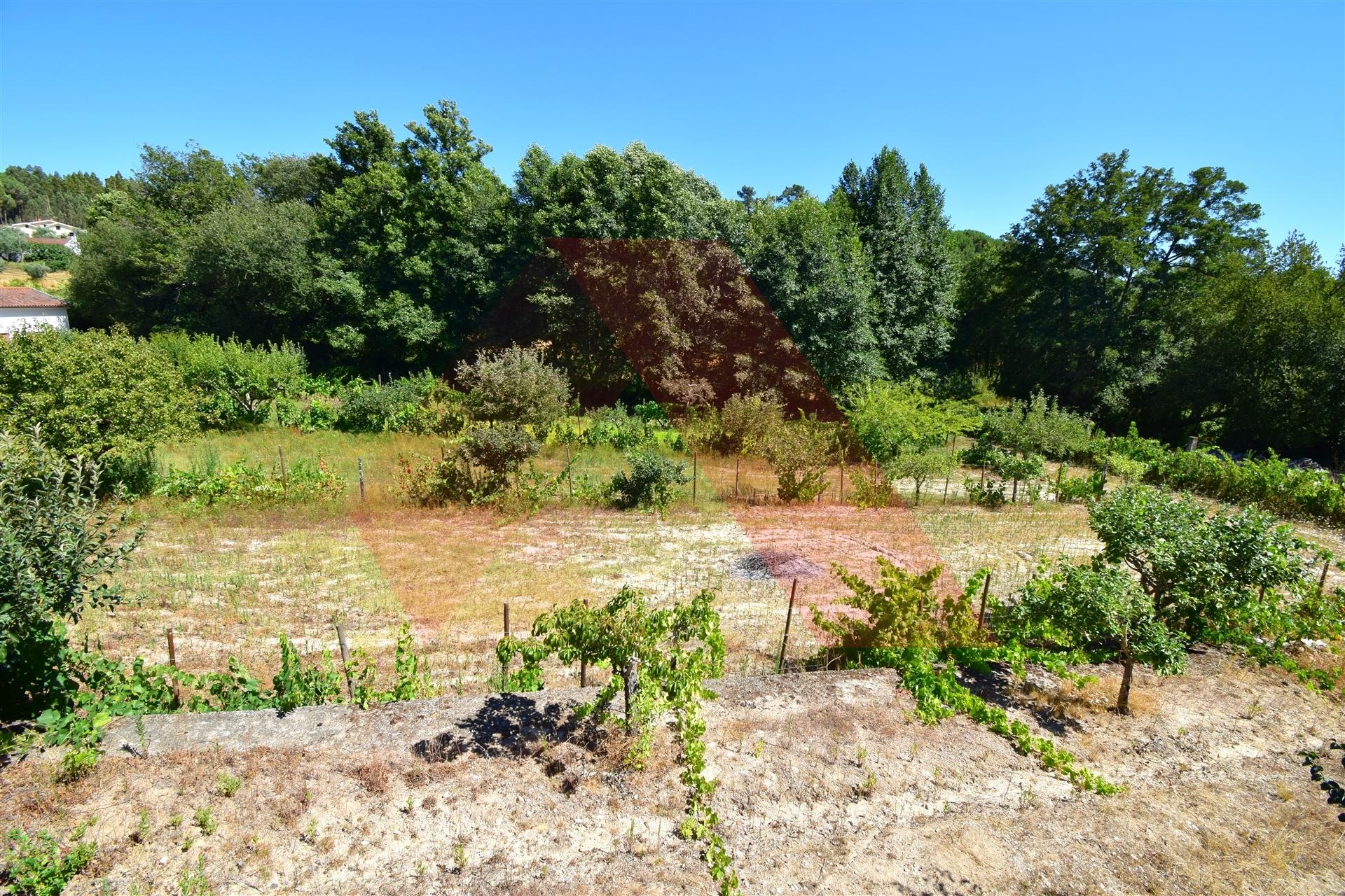 Lote de Terreno  Venda em Tábua,Tábua