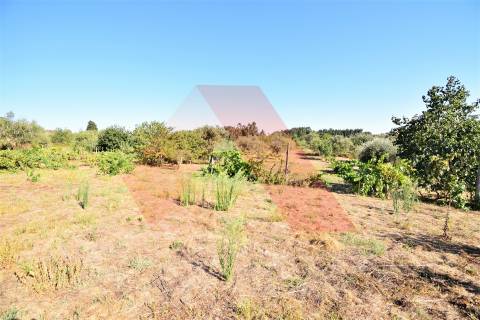 Moradia T4 Venda em Espariz e Sinde,Tábua