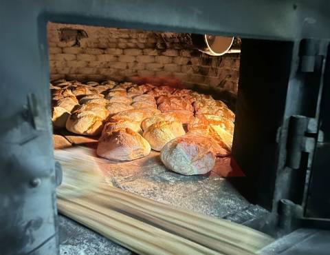 Padaria / Pastelaria  Arrendamento em Mouronho,Tábua