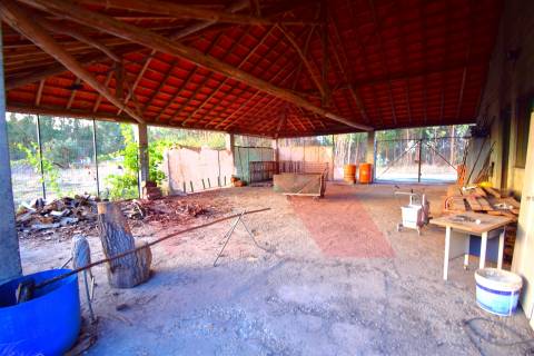 Padaria / Pastelaria  Arrendamento em Mouronho,Tábua