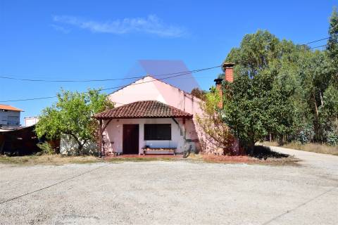 Padaria / Pastelaria  Arrendamento em Mouronho,Tábua