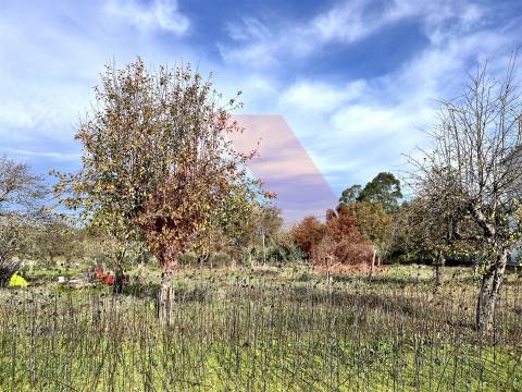 Moradia T3 Venda em Covas e Vila Nova de Oliveirinha,Tábua