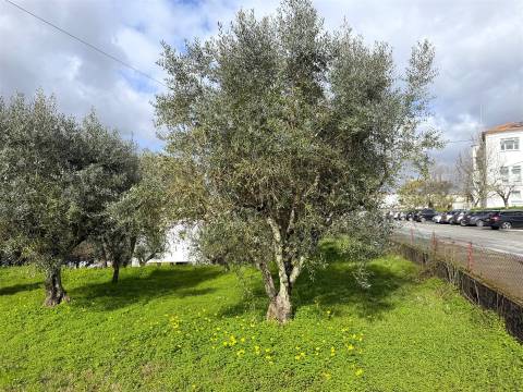 Moradia T3+3 Venda em Tábua,Tábua