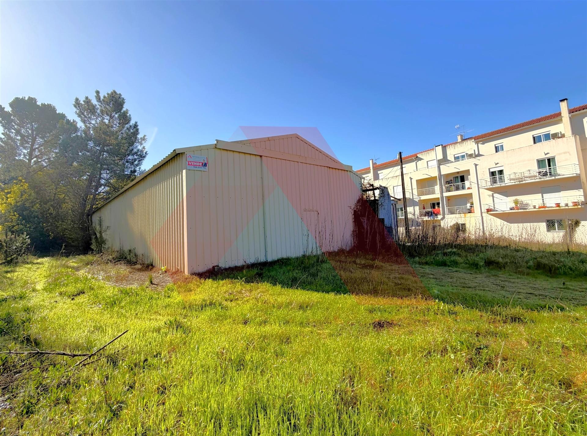 Terreno Para Construção  Venda em Tábua,Tábua