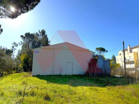 Terreno Para Construção  Venda em Tábua,Tábua