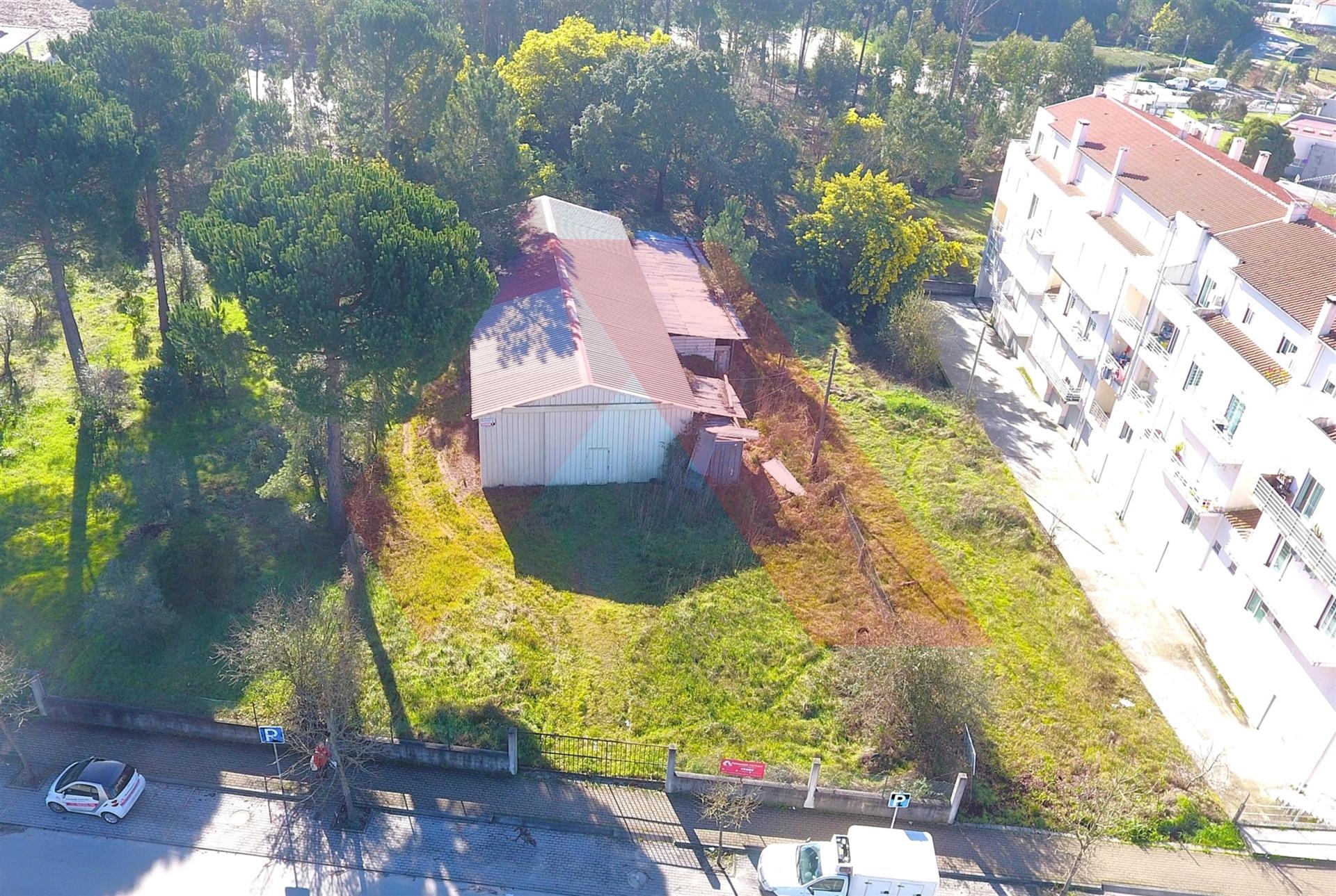 Terreno Para Construção  Venda em Tábua,Tábua