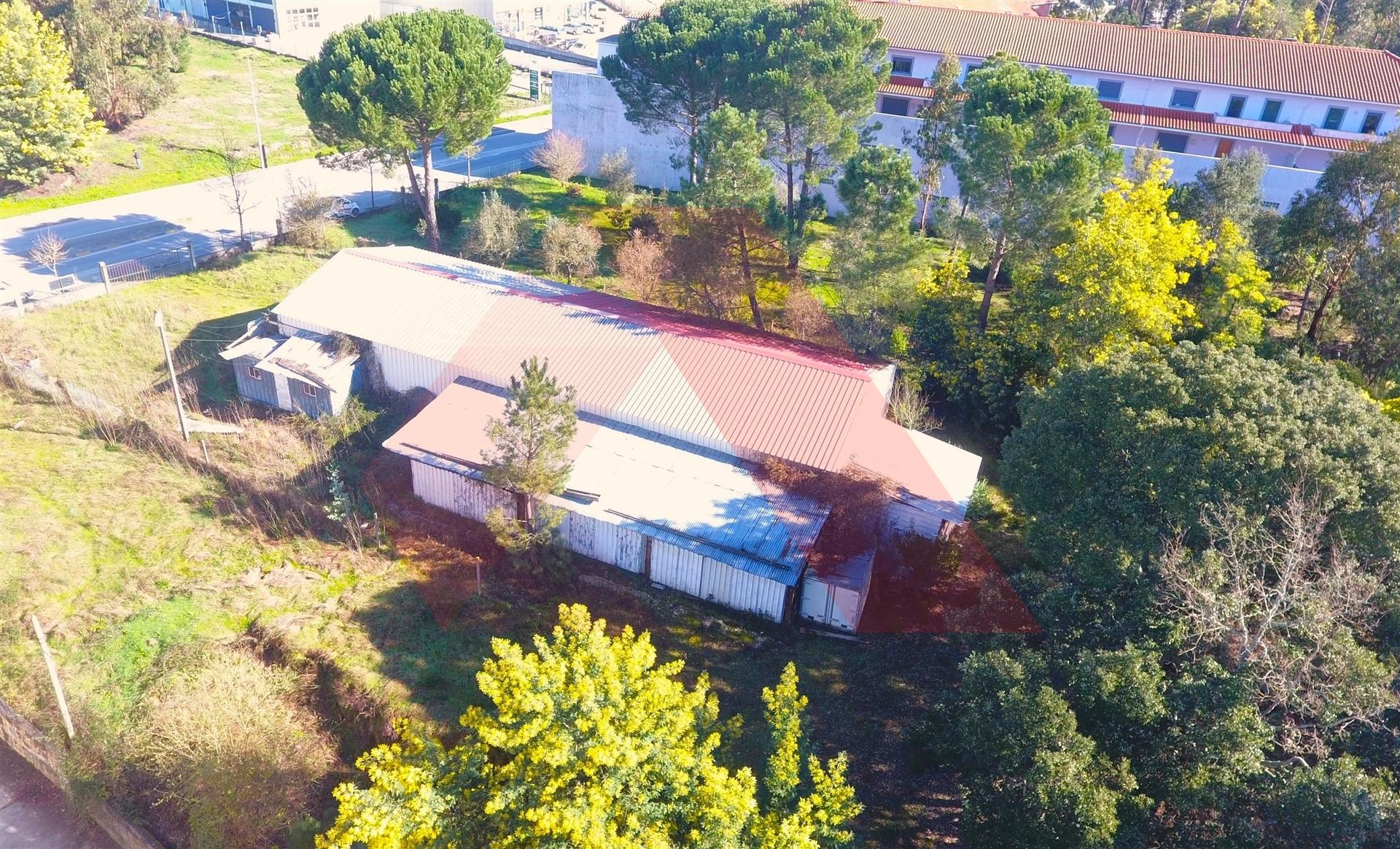 Terreno Para Construção  Venda em Tábua,Tábua