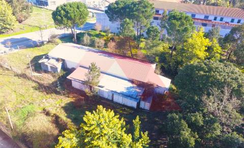 Terreno Para Construção  Venda em Tábua,Tábua