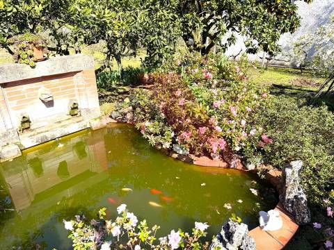 Moradia Isolada T3 Venda em Espariz e Sinde,Tábua