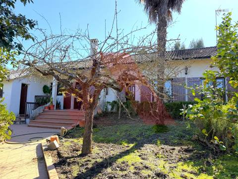 Moradia Isolada T3 Venda em Espariz e Sinde,Tábua