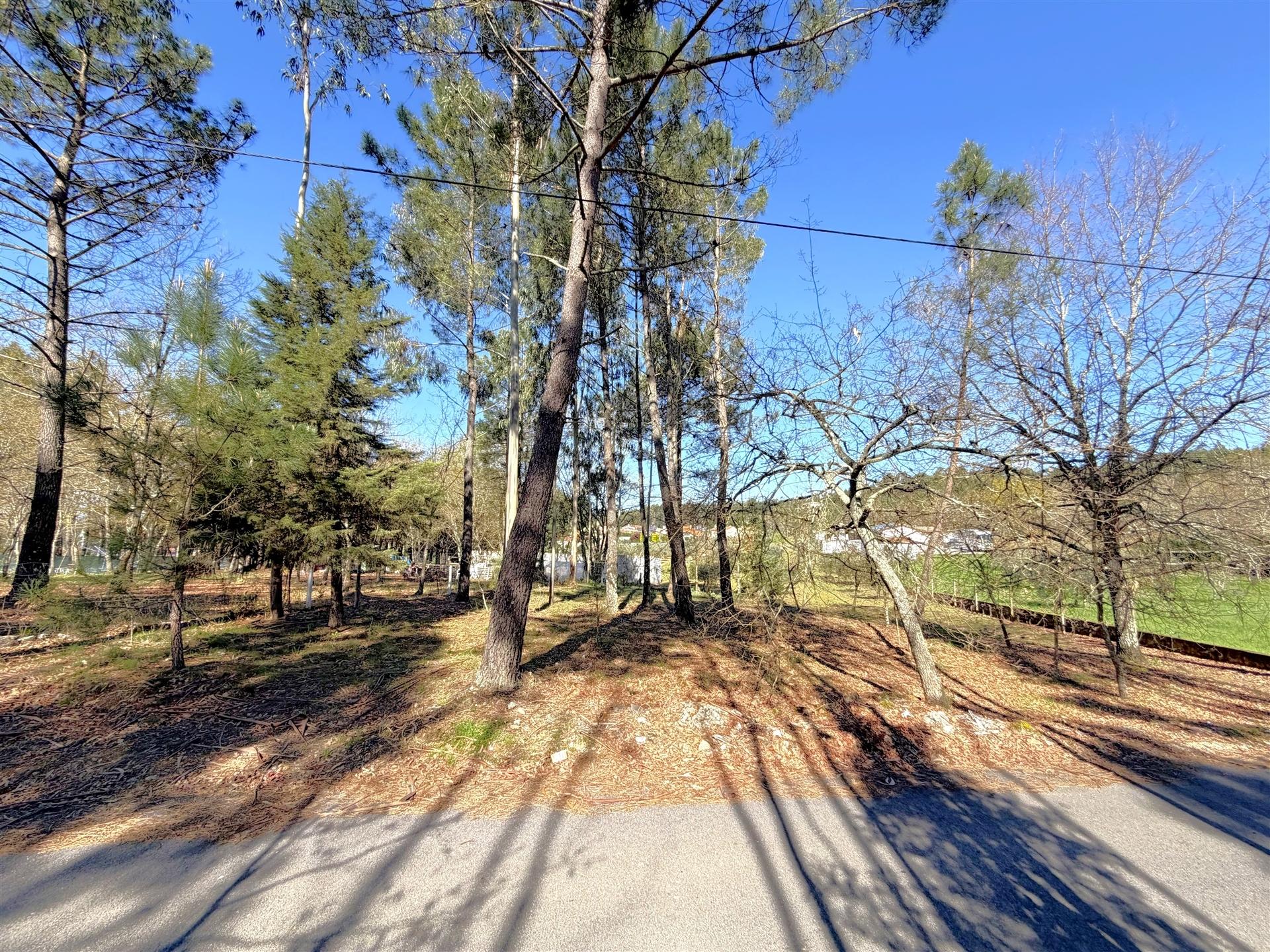 Terreno Urbano  Venda em Espariz e Sinde,Tábua