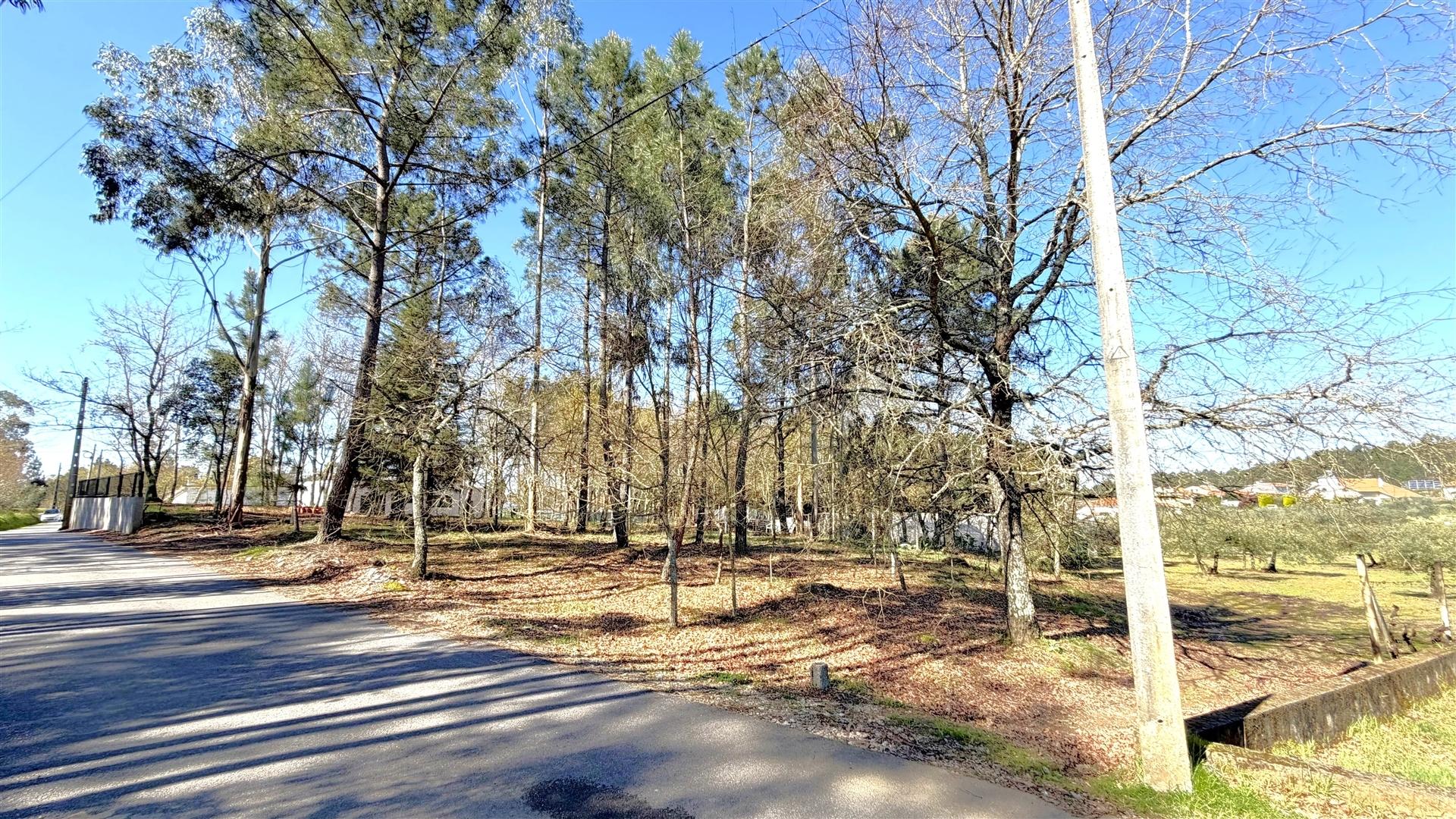 Terreno Urbano  Venda em Espariz e Sinde,Tábua