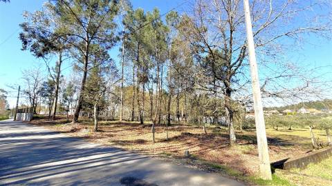 Terreno Urbano  Venda em Espariz e Sinde,Tábua