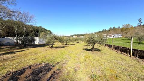 Terreno Urbano  Venda em Espariz e Sinde,Tábua