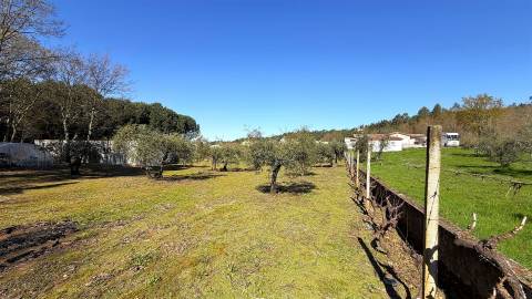 Terreno Urbano  Venda em Espariz e Sinde,Tábua
