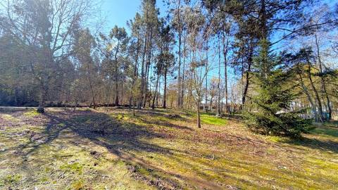Terreno Urbano  Venda em Espariz e Sinde,Tábua