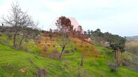 Moradia Isolada T2 Venda em Póvoa de Midões,Tábua
